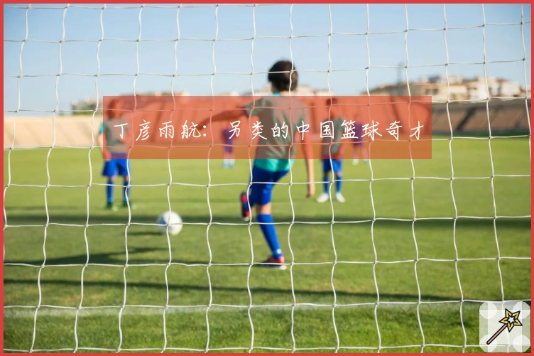 丁彦雨航：另类的中国篮球奇才
