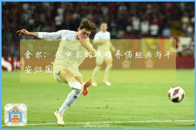 舍尔:在中东的艰难养伤经历与平安归国