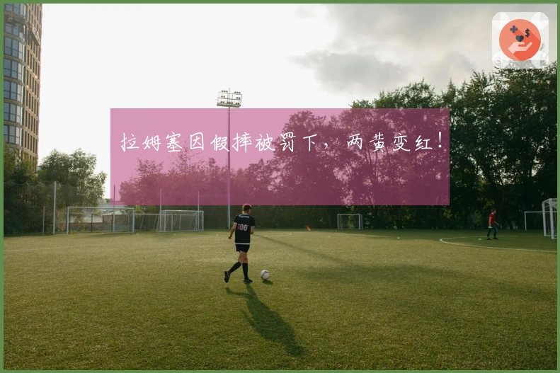 拉姆塞因假摔被罚下，两黄变红！